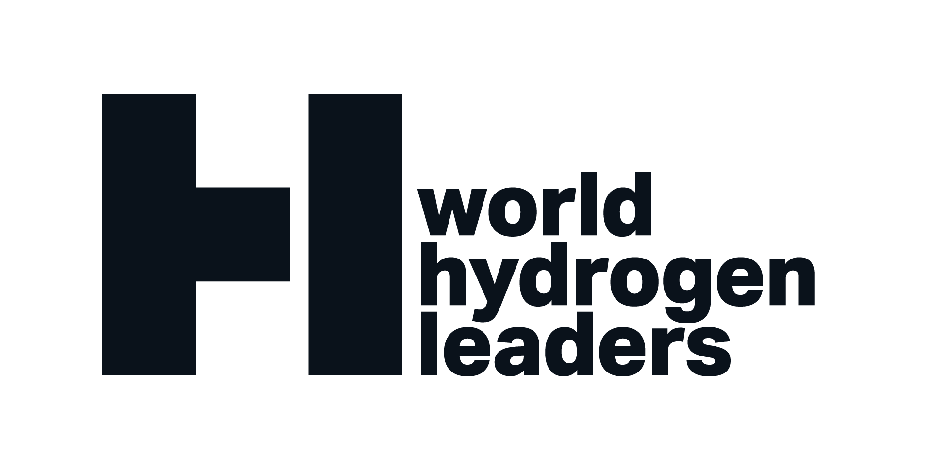 world hydrogen leaders  - VF